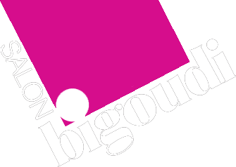 Salon Bigoudi Winschoten logo